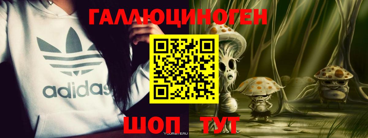 Псилоцибиновые грибы Psilocybe Гусь-Хрустальный